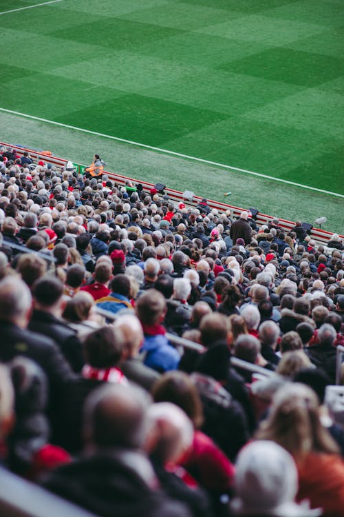 Supporters dans les tribunes d'un stade de football professionnel