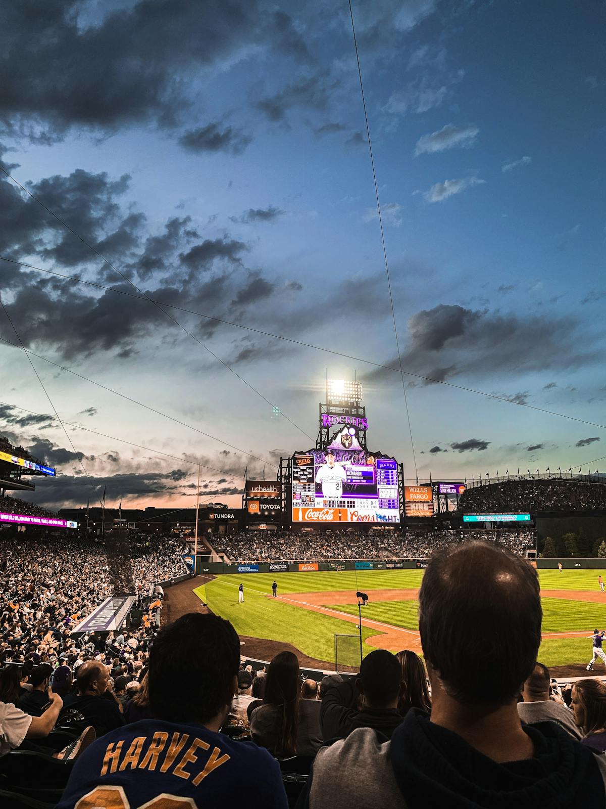 Supporters dans les tribunes d'un stade de football professionnel